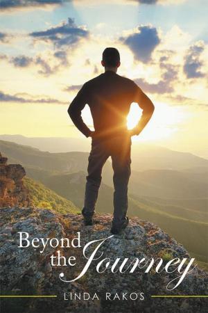 bigCover of the book Beyond the Journey by 