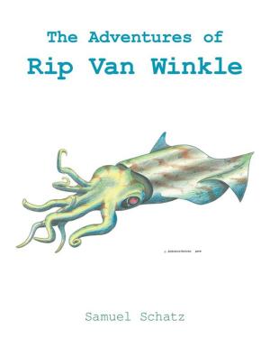 Cover of the book The Adventures of Rip Van Winkle by M. Kris La Moz