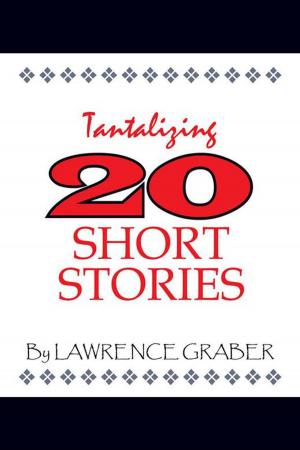 bigCover of the book Tantalizing 20 Short Stories by 