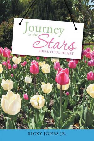 Cover of the book Journey to the Stars by Heidi WhiteSparrow Williams