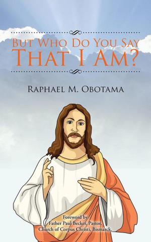 Cover of the book But Who Do You Say That I Am? by James M. Redwine
