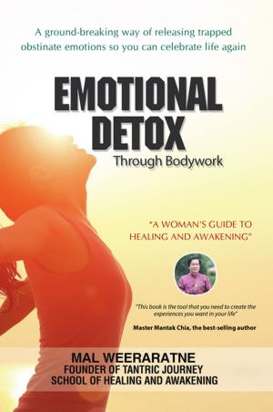 Cover of the book Emotional Detox Through Bodywork by Stephen Jackson
