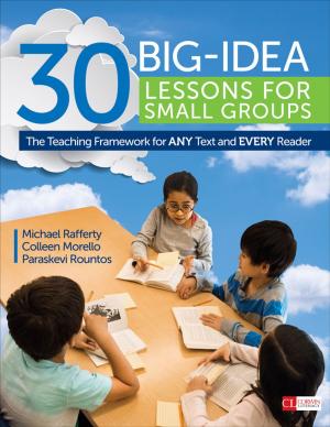 Book cover of 30 Big-Idea Lessons for Small Groups