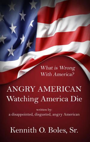 Cover of the book Angry American by Mark Landau