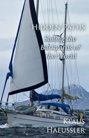 Cover of the book Hidden Paths by Angela Dawn