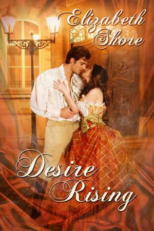 Cover of the book Desire Rising by Romeo Preminger
