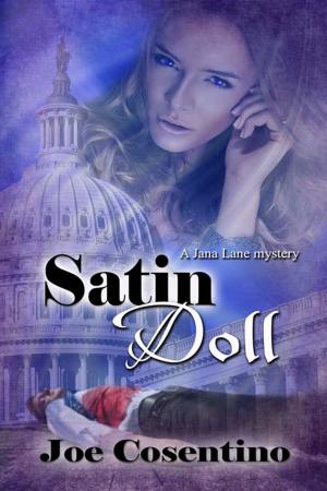 Cover of the book Satin Doll by Iona Morrison