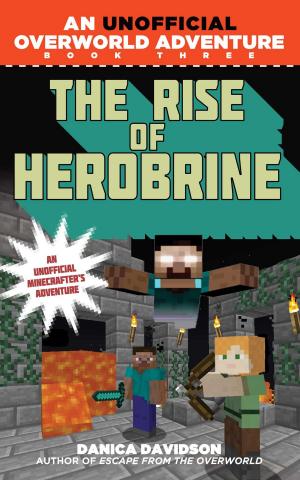 Cover of the book The Rise of Herobrine by Brendan Powell Smith