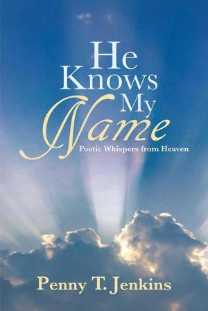 Cover of the book He Knows My Name by Phyllis Keels