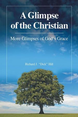 Cover of the book A Glimpse of the Christian by Sharon Burns Laubenstein