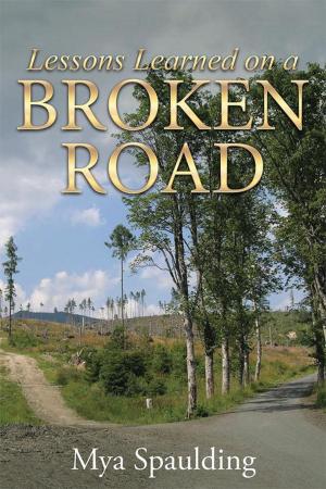bigCover of the book Lessons Learned on a Broken Road by 