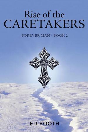 Cover of the book Rise of the Caretakers by Maulana Abdul Haq Vidyarthi