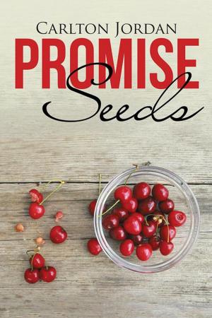 Cover of the book Promise Seeds by Catherine Constant