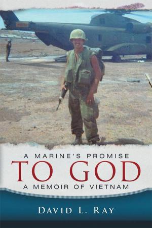 Cover of the book A Marine's Promise to God by David Muus Martinson