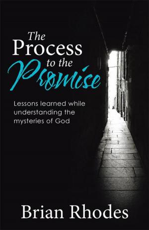 Cover of the book The Process to the Promise by Debbie Vanderslice