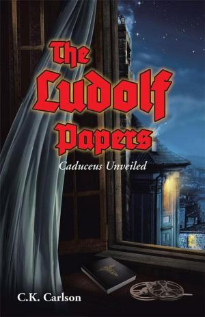 bigCover of the book The Ludolf Papers by 