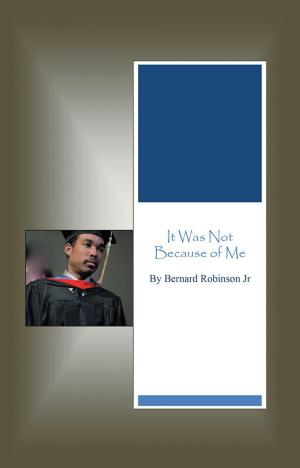 Cover of the book It Was Not Because of Me by Lanny Vincent