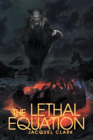 Cover of the book The Lethal Equation by Christopher Chapman