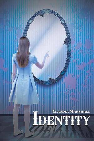 Cover of the book Identity by Deborah Worley