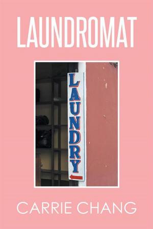 Book cover of Laundromat