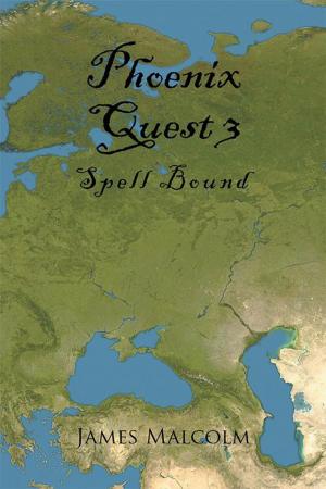 bigCover of the book Phoenix Quest 3 by 