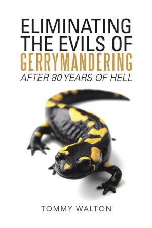 Cover of the book Eliminating the Evils of Gerrymandering After 80 Years of Hell by Jerry Jacobs