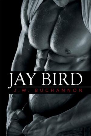 Cover of the book Jay Bird by Frances Friedman