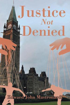 Cover of the book Justice Not Denied by Dr. Mary L. Tate