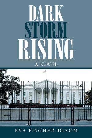 Book cover of Dark Storm Rising