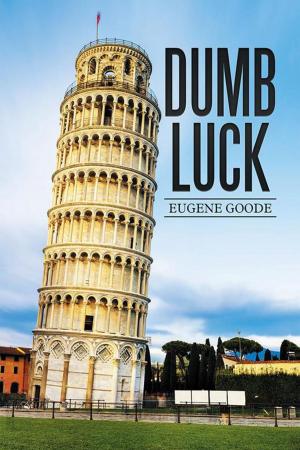 Cover of the book Dumb Luck by Christelle Angano