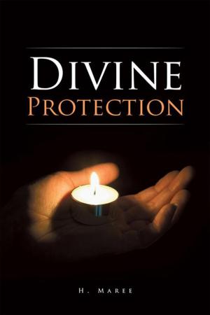 Cover of the book Divine Protection by Terrance Taylor