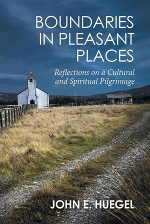 Cover of the book Boundaries in Pleasant Places by Yvonne C. Freeman