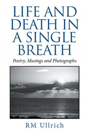 Cover of the book Life and Death in a Single Breath by Romell A. Davis