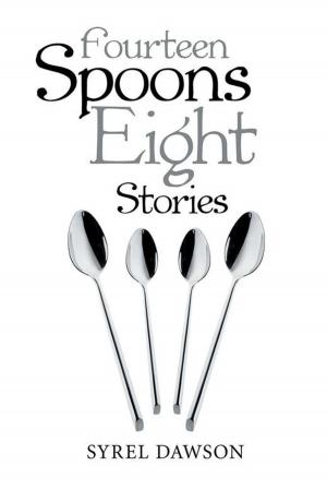 Cover of the book Fourteen Spoons Eight Stories by Richard Saunders