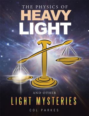 Cover of the book The Physics of Heavy Light by Samantha Jewel