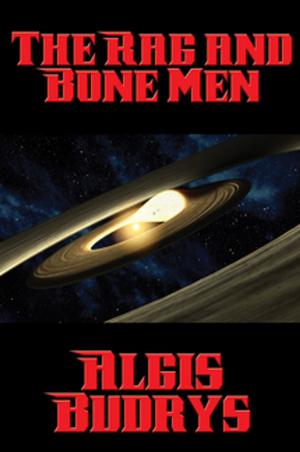 Cover of the book The Rag and Bone Men by Wilson Roberts