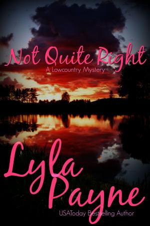 Cover of the book Not Quite Right (A Lowcountry Mystery) by Ann S. Marie