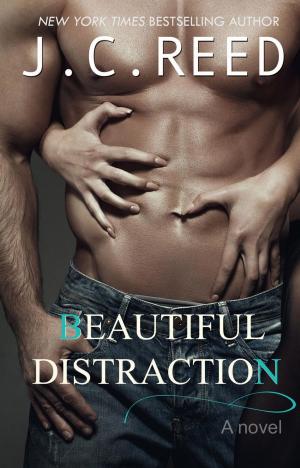 Cover of the book Beautiful Distraction by Megan Michelau
