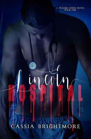 Cover of the book Lincoln Hospital by Sara Robbins