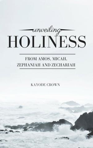 Cover of Unveiling Holiness From Amos, Micah, Zephaniah and Zechariah