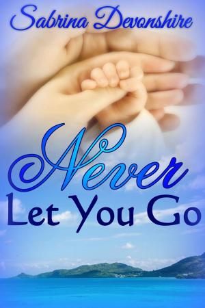Cover of the book Never Let You Go by Evie Harper