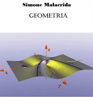 Cover of the book Geometria by Simone Malacrida, Simone Malacrida