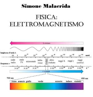 Book cover of Fisica: elettromagnetismo