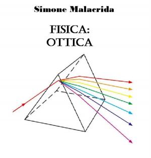 bigCover of the book Fisica: ottica by 