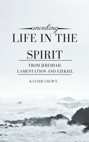 Book cover of Unveiling Life in the Spirit From Jeremiah, Lamentation and Ezekiel