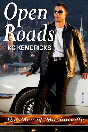 Cover of the book Open Roads by Nicholas Scott