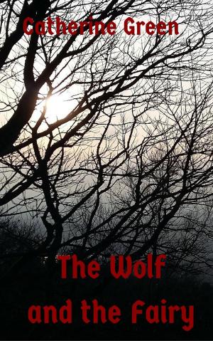 Cover of The Wolf and the Fairy