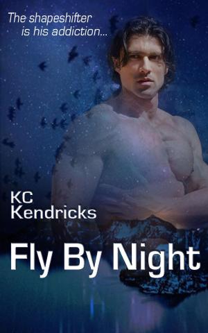 Cover of the book Fly By Night by William G. Tapply