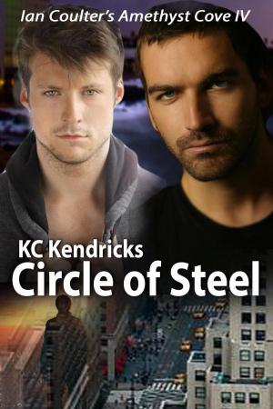 Cover of the book Circle of Steel by Roger Hyttinen