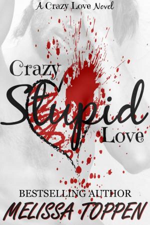 Book cover of Crazy Stupid Love